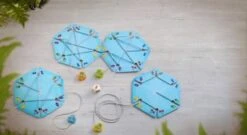 HABA 306567 Walli Wickelspinne -Haba 24259505 04