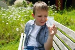 HABA 302503 Terra Kids Insektensauger -Haba 9352117 03